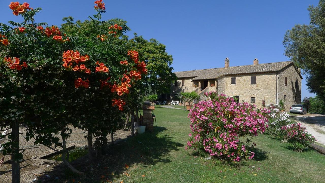 Agriturismo Podere Luchiano Amelia Buitenkant foto
