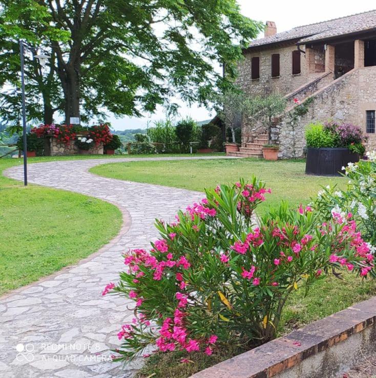 Agriturismo Podere Luchiano Amelia Buitenkant foto