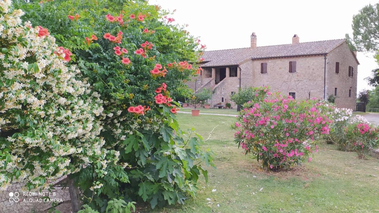 Agriturismo Podere Luchiano Amelia Buitenkant foto