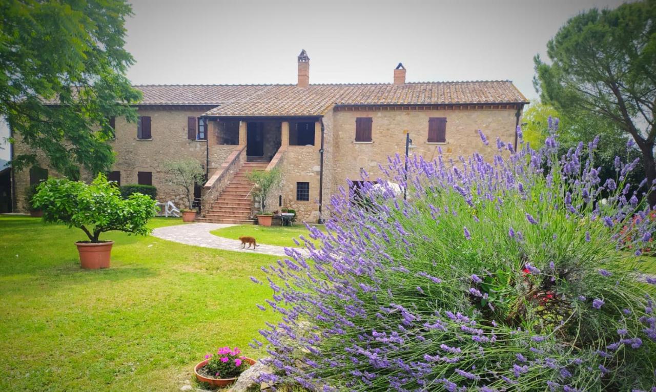 Agriturismo Podere Luchiano Amelia Buitenkant foto