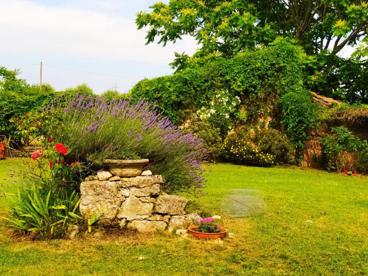 Agriturismo Podere Luchiano Amelia Buitenkant foto