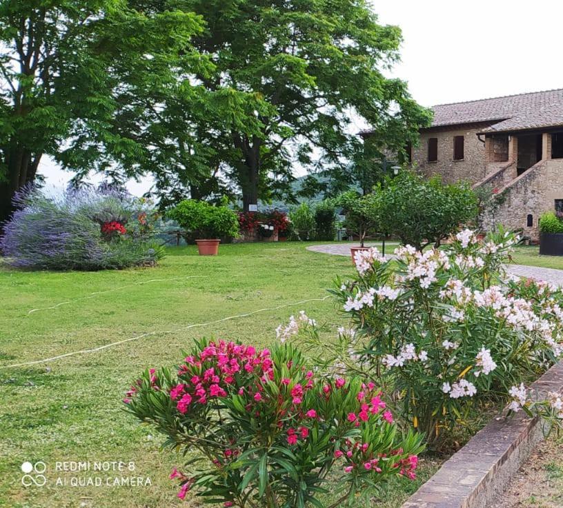 Agriturismo Podere Luchiano Amelia Buitenkant foto