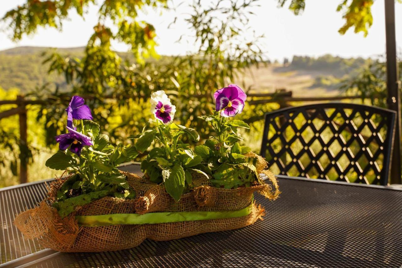 Agriturismo Podere Luchiano Amelia Buitenkant foto