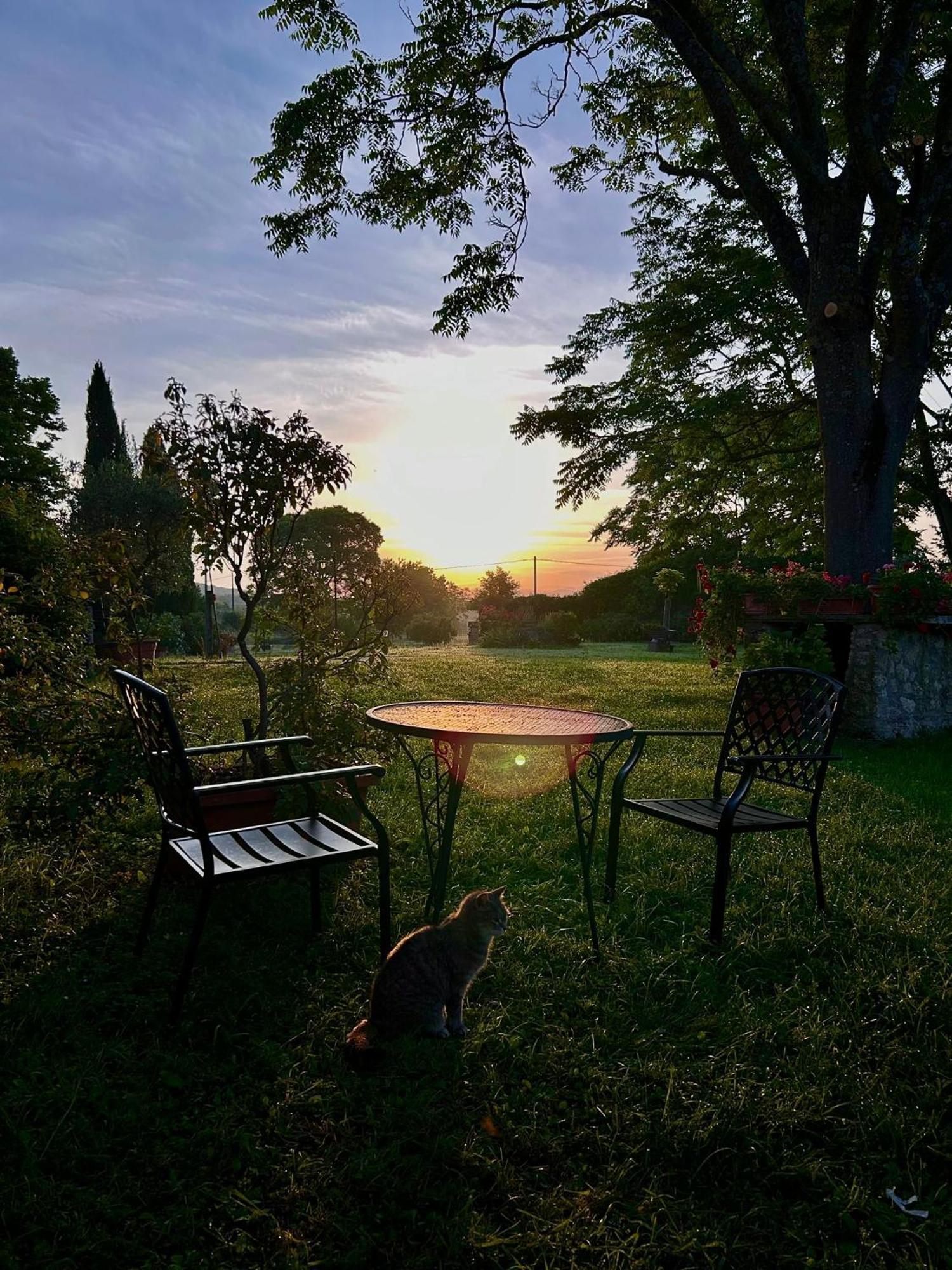 Agriturismo Podere Luchiano Amelia Buitenkant foto