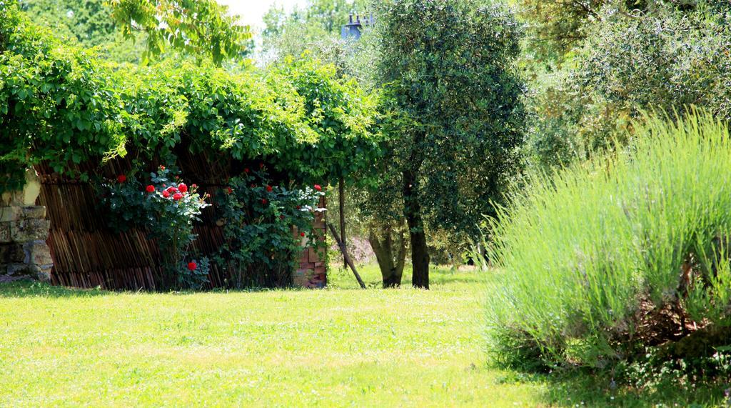 Agriturismo Podere Luchiano Amelia Buitenkant foto