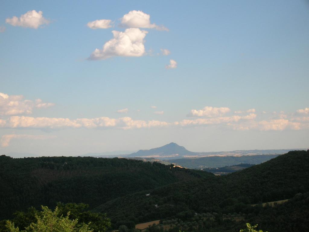 Agriturismo Podere Luchiano Amelia Buitenkant foto