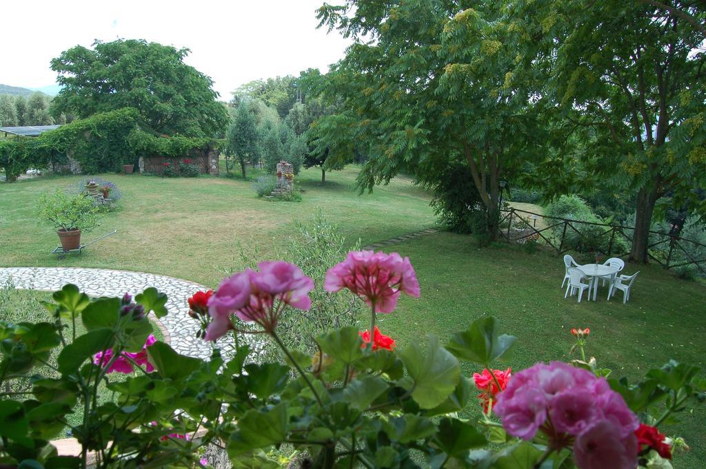 Agriturismo Podere Luchiano Amelia Buitenkant foto