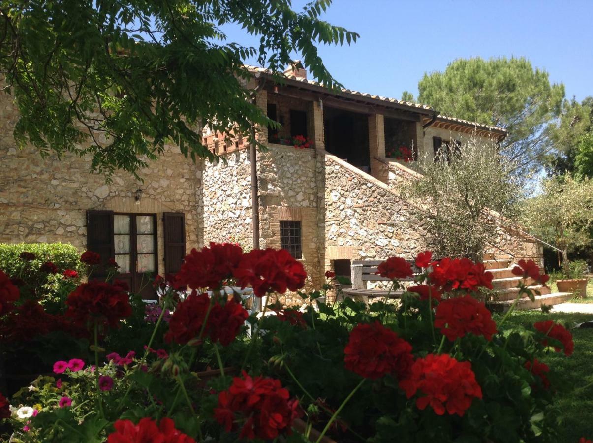 Agriturismo Podere Luchiano Amelia Buitenkant foto