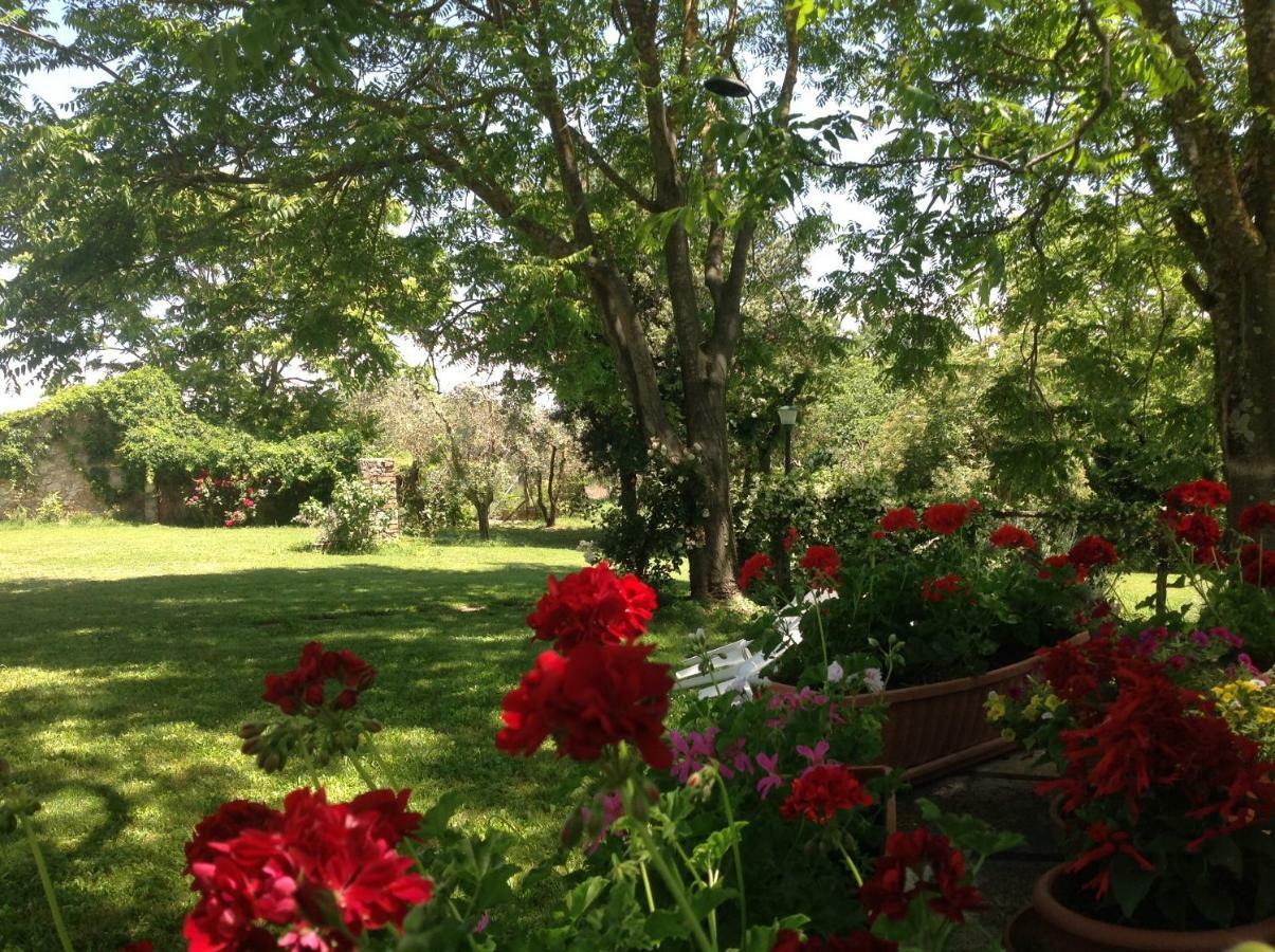 Agriturismo Podere Luchiano Amelia Buitenkant foto